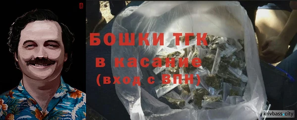 альфа пвп Гусев