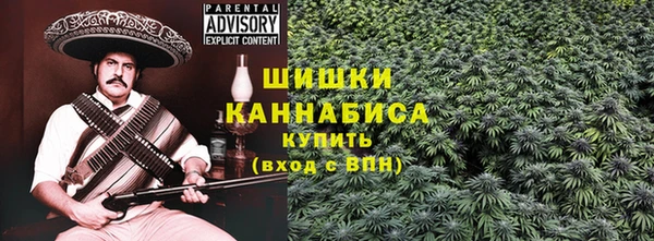 альфа пвп Гусев