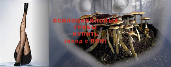 MDMA Premium VHQ Гусиноозёрск