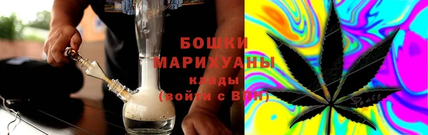 альфа пвп Гусев