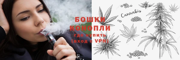 альфа пвп Гусев