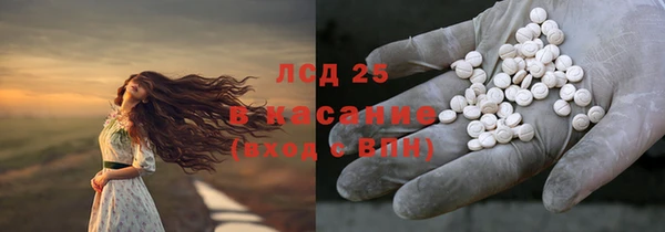 альфа пвп Гусев