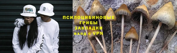 альфа пвп Гусев