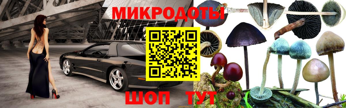 Елизово  где купить наркотик  Вход с VPN  Псилоцибиновые грибы мицелий 