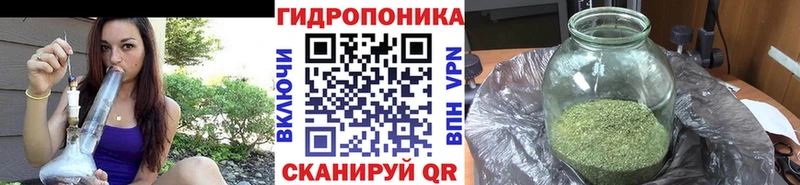 Марихуана THC 21%  мега ССЫЛКА  Елизово 
