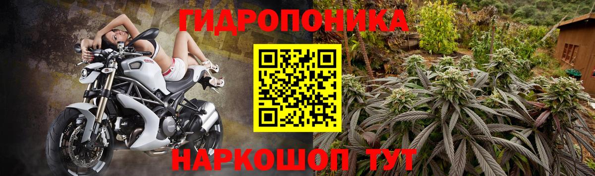 Бошки марихуана марихуана  Вход с VPN  Елизово  МАРИХУАНА MAZAR  Бошки марихуана тримм 